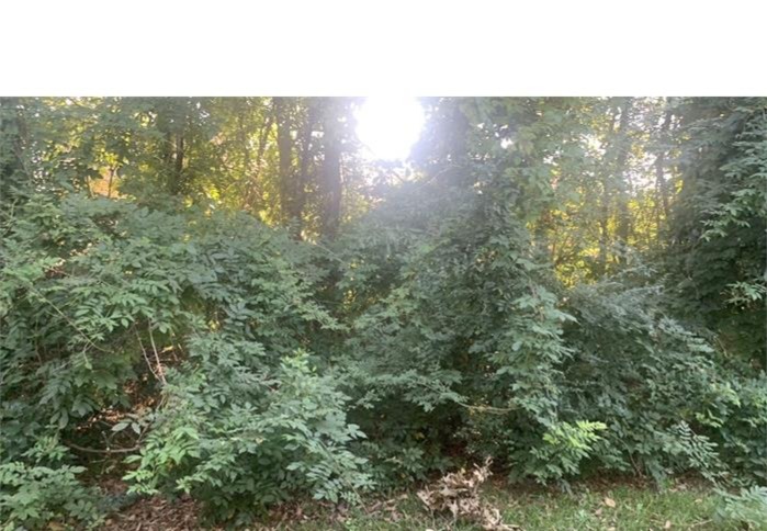 5303 Abbywood Ln, Charlotte, North Carolina 28269 Additional Image #8