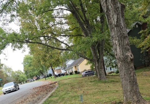 1410 Pine Mountain Rd, Charlotte, North Carolina 28214 Additional Image #4