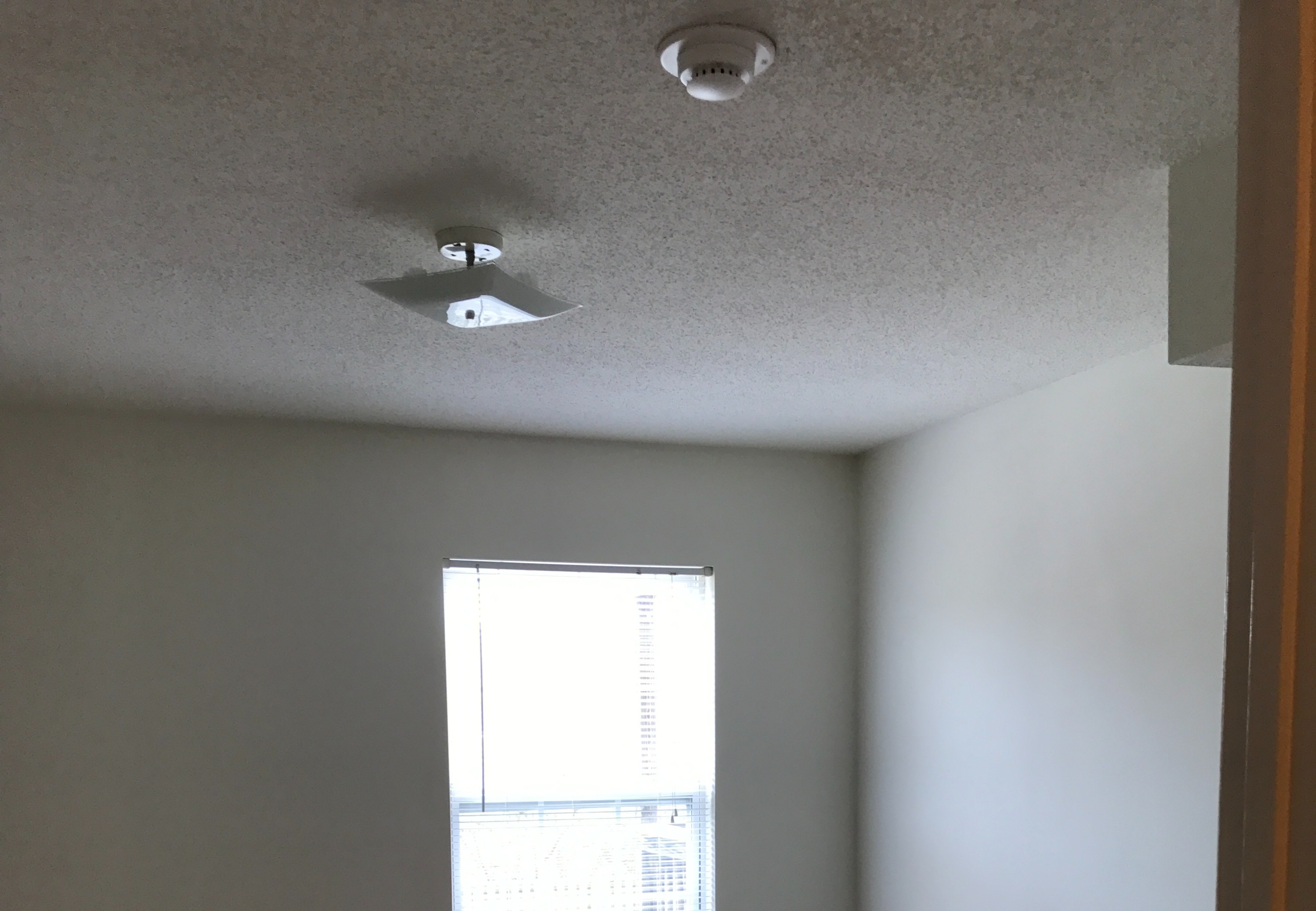 1300 Pamlico St, Charlotte, North Carolina 28205 Additional Image #7