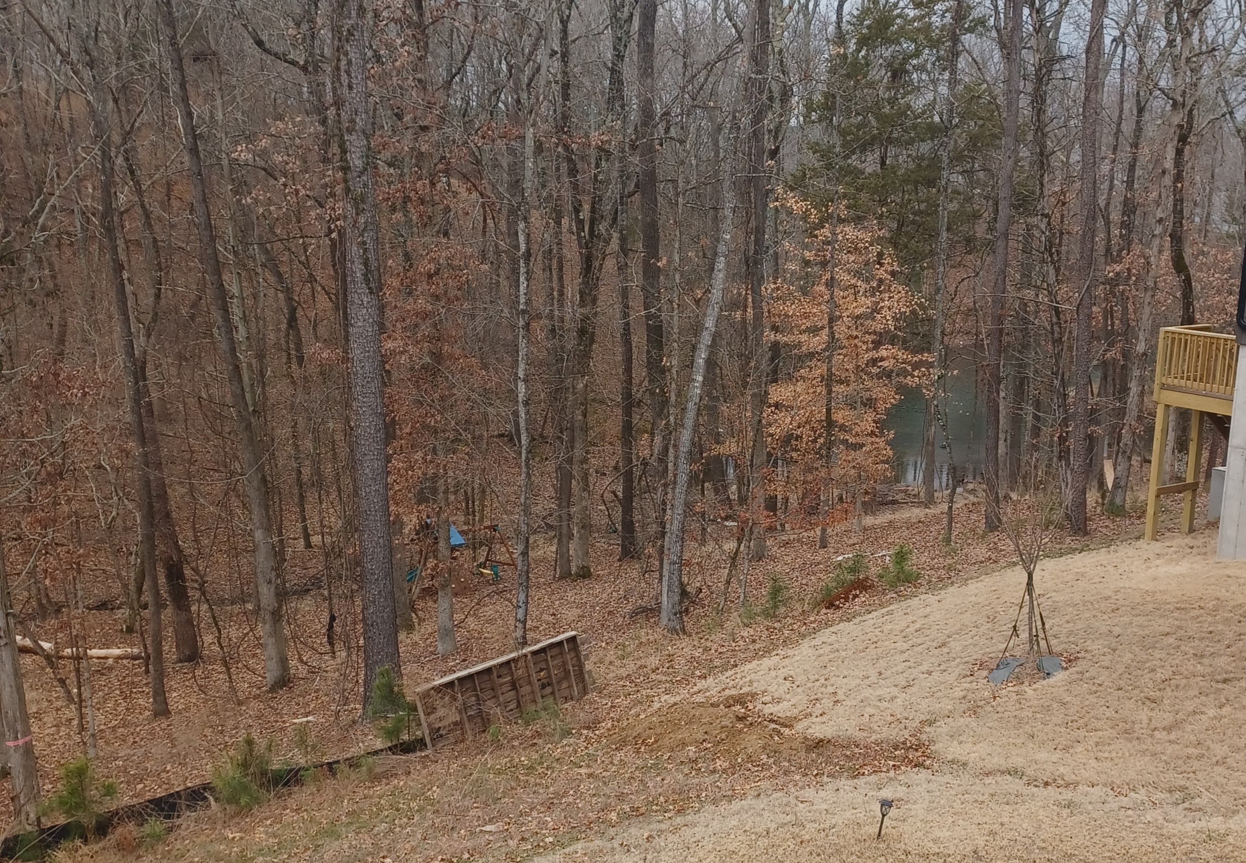 16025 Moxie Glen Ct, Charlotte, North Carolina 28278 Additional Image #2