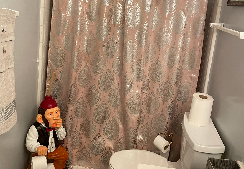 7201 Glen Brook Ln, Charlotte, North Carolina 28269 Additional Image #11