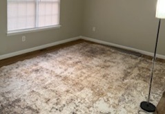 711 Ambassador St, Charlotte, North Carolina 28208 Additional Image #4